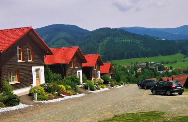 Chalet in Gaal by Ski Slopes & Bathing Pond