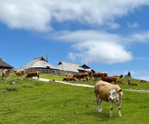 Chalet Korosica Velika Planina