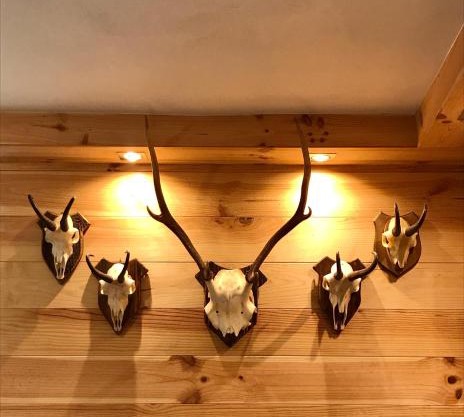 Chalet Monaci alla Fontana "Junior suite"