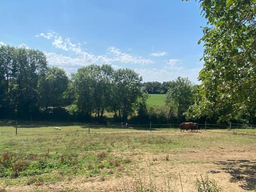 chambre d'hôtes des roseaux