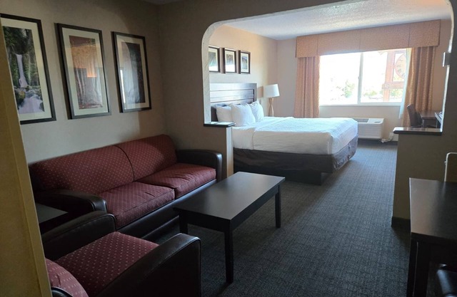 Charming 1-King Suite Bed with Cozy Style