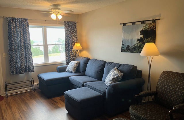 Charming condo w/lake access, dock, WiFi & mountain views