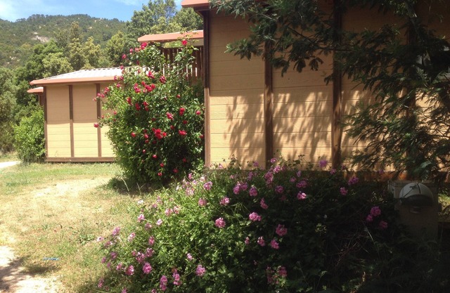 Charming little chalets in the mountains and only 15 minutes from the sea
