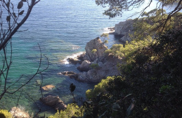 Charming studio with sea view