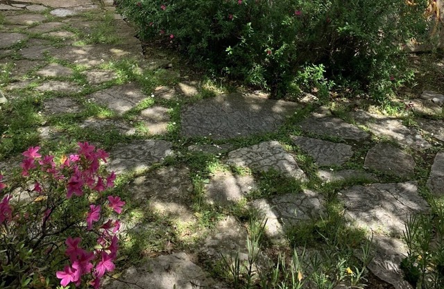 Charming villa in a peaceful setting between the sea and the Cevennes mountains