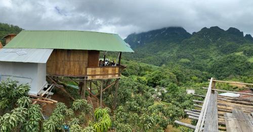Chiang Dao Story Camp