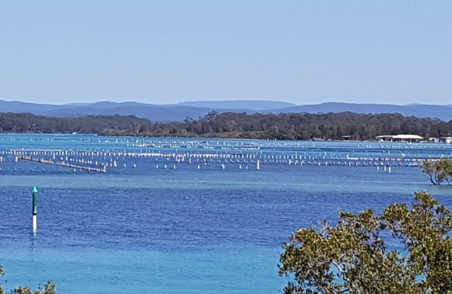 CHILL-OUT LAKESIDE * waterfront on wallis lake. Walk to the beach, shops, cafes!
