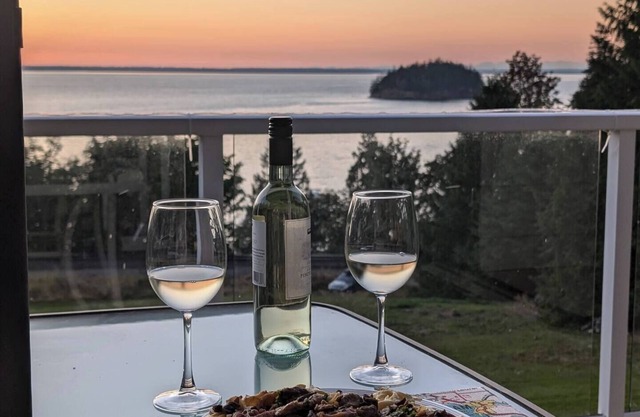 Chuckanut Retro Retreat - Island View