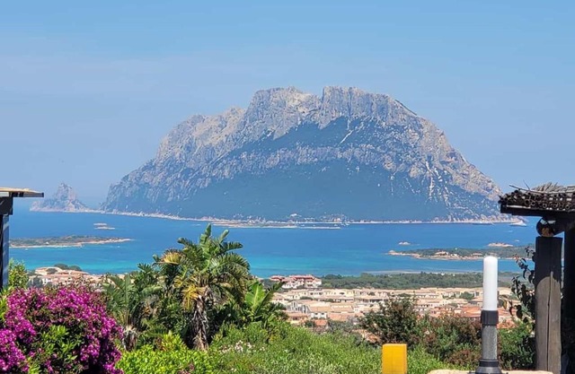 Claude&Kate's dream house