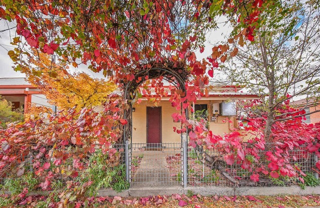 Coachman's Cottage - Cosy Charm, Pets Welcome