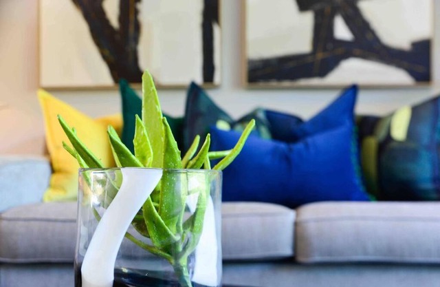 Coastal Condo in a Forest Estate - with inverter