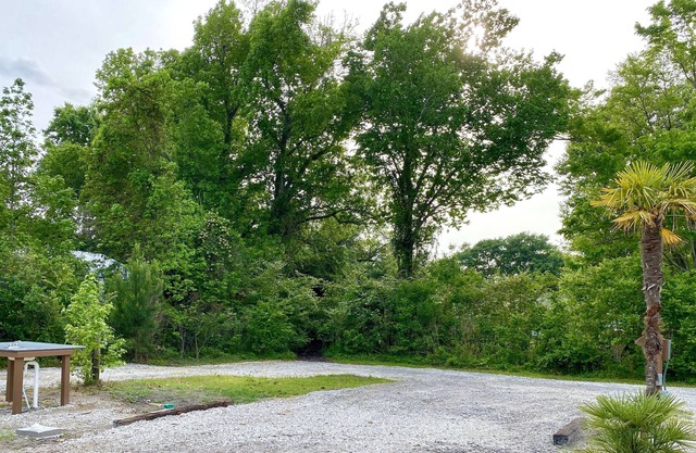 Coastal Tiki Hideaway: Campsite #1, 30 Amp, Full Hook-up