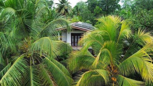 Coconut Shady Villa