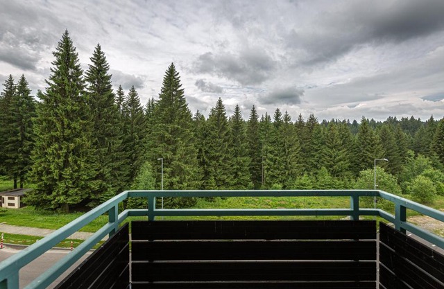 Cold Mountain Apartment in Silver Mountain Resort