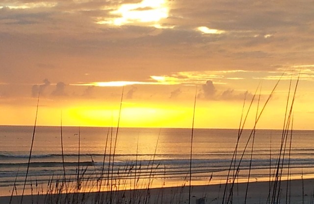 Come Enjoy Beach Life In Spacious Elegance.