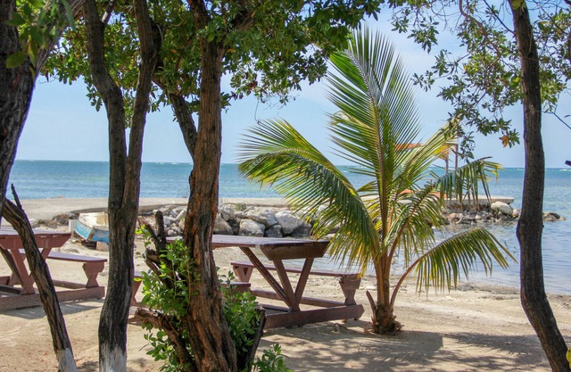 Comfy and quaint 1-bedroom cottage with amazing views