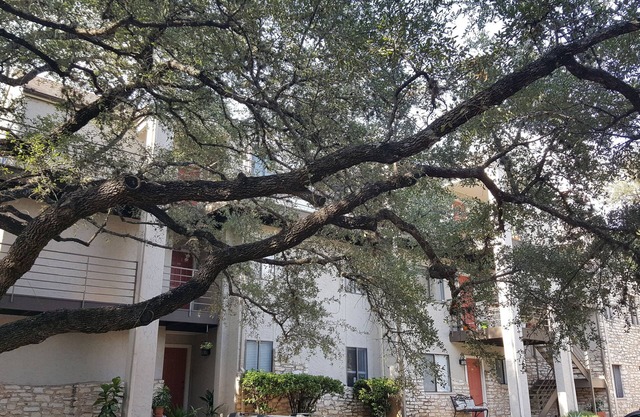 Comfy, Fully Remodeled Condo, Convenient Location