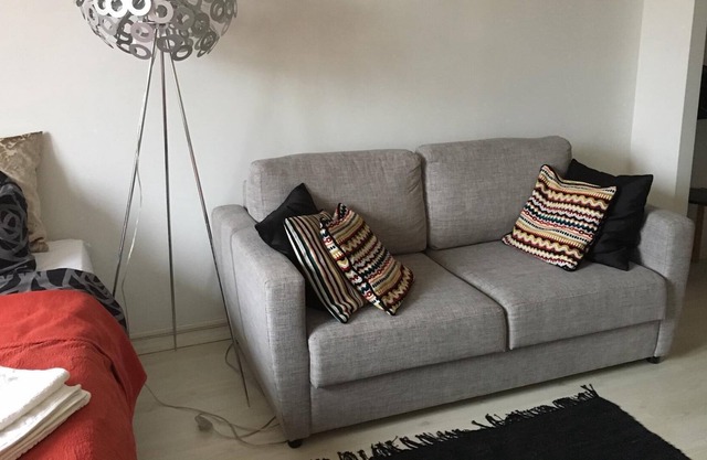 Compact Studio in the lively Kallio district