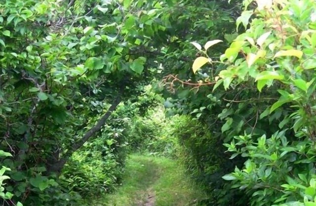 Contemporary Cottage with Breathtaking Views