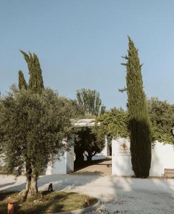 Cortijo de Enmedio