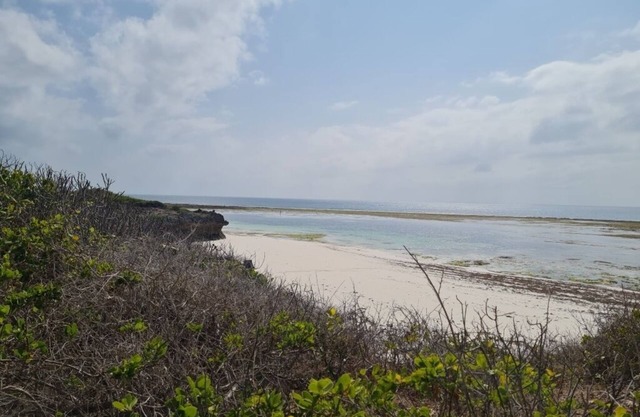 Cosy 2 Bedroom Cottage, Bofa Road; Kilifi