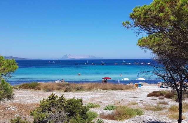 Cosy apartment for 6 guests with WIFI, A/C, TV, patio and pets allowed