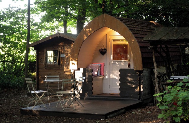 Cosy Bluebelle Glamping pod in a secluded woodland clearing
