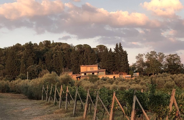 Cosy country house with breathtaking view on Chianti hills. Pet-Friendly!