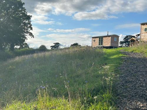 Cosy devon Retreat woodland views