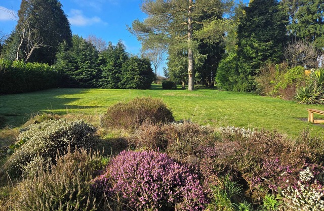 Cosy Family-friendly Village Bungalow with Beautiful half acre Garden