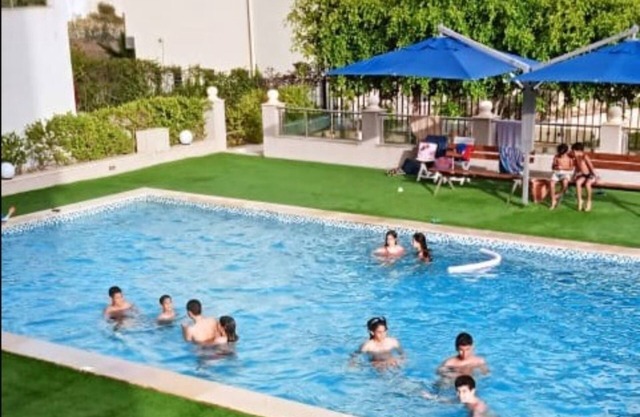 Cosy flat for your honeymoon
