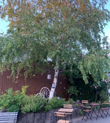 Cottage Village 宿り木荘