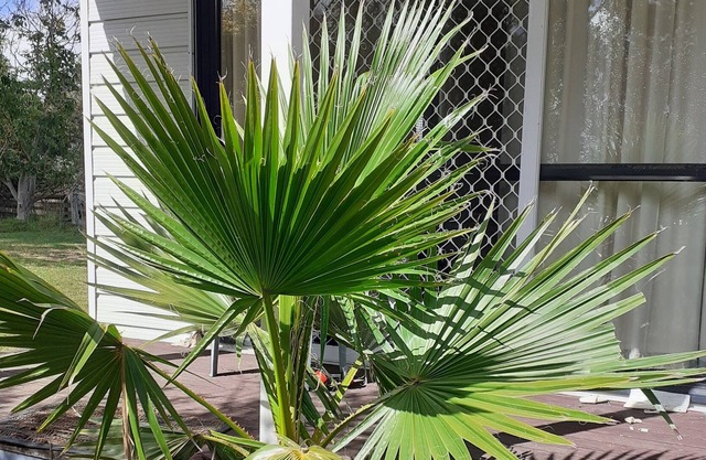 Country Cottage -serene Friendly Safe Stay