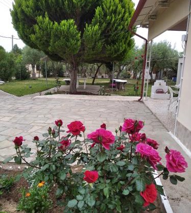 Country House Kalyves, 2 bedrooms, sleeps 6, 700sqmgarden, 180m from beach