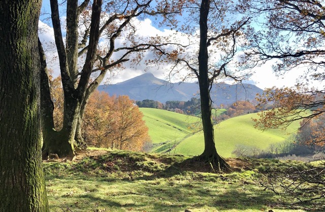 Country house, mountain views, large swimming pool, near Saint-Jean de Luz