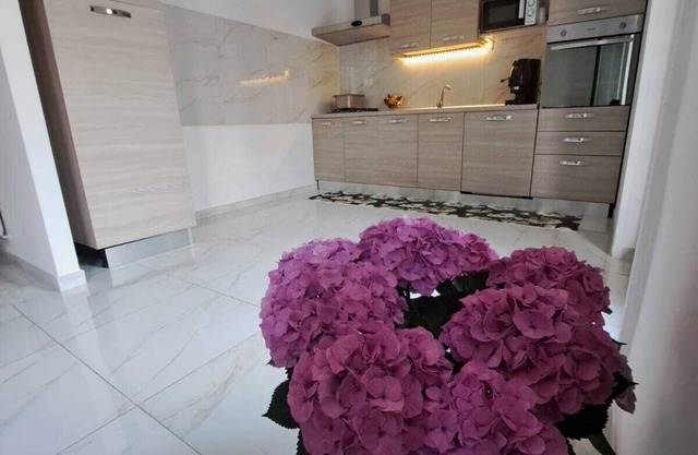 Cozy apartment within walking distance of the sea, lake and historic center
