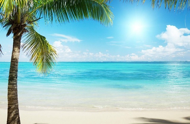 Cozy Cabin in Hawthorne!