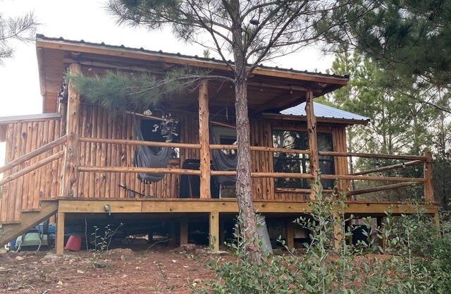 Cozy cabin in the pines of Bastrop with AC, WiFi