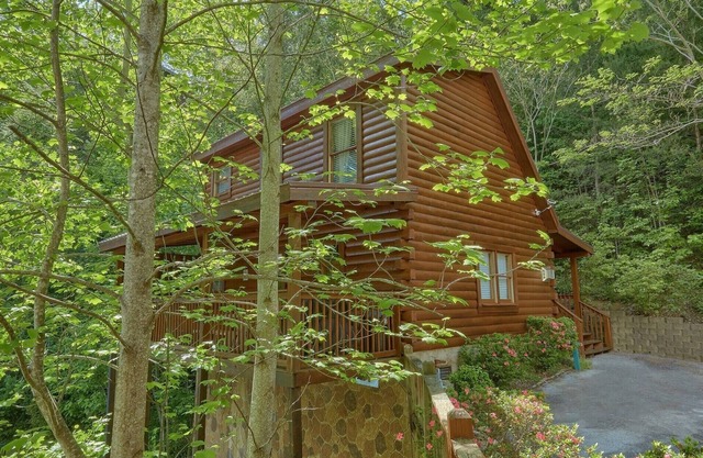 Cozy cabin, perfect for a honeymoon or an adventure-filled family getaway!