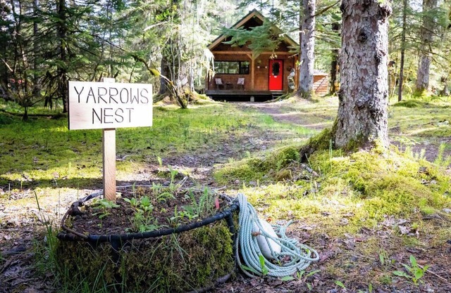 Cozy cabin w/WiFi amongst the spruce trees adjacent to Glacier Bay Nat'l Park.