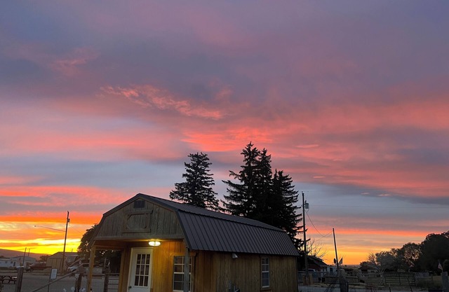 Cozy cabin with 1 bedroom and WiFi, AC in pleasant Oakley