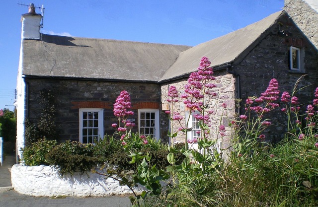 Cozy cottage in heart of St Davids - private garden with Cathedral views