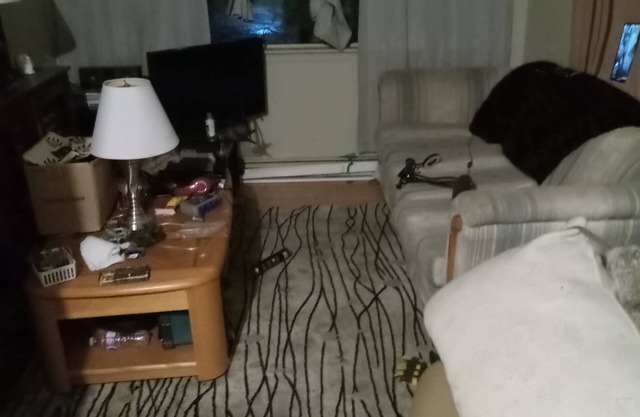 Cozy home away from home, private, convient,close to all amenities, pet friendly