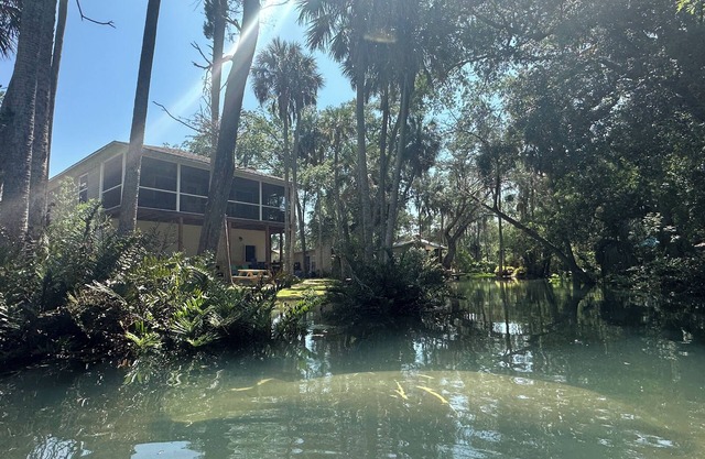 Cozy home, beautiful views & swimming in a spring fed river among a wooded yard
