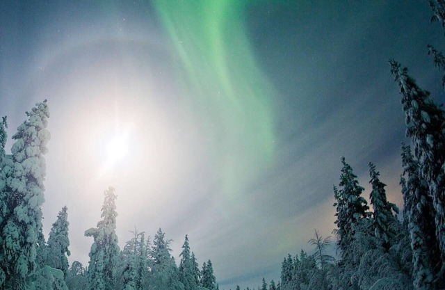 Cozy House! Located near to Arctic Circle and Santa Claus. See Northern Lights❤️
