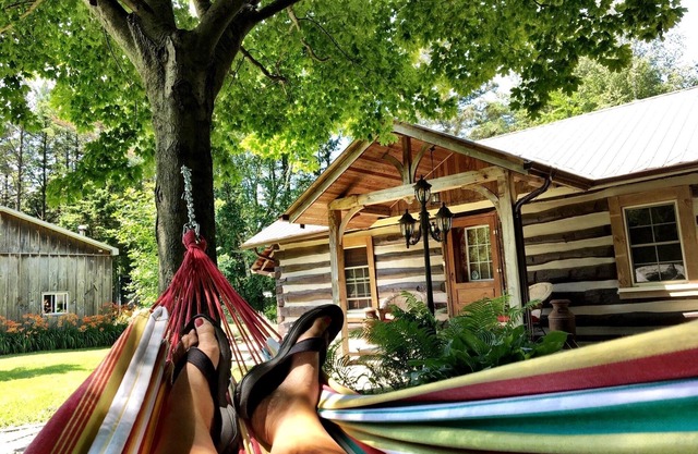 Cozy Log Cabin - Walk to Lake Huron!