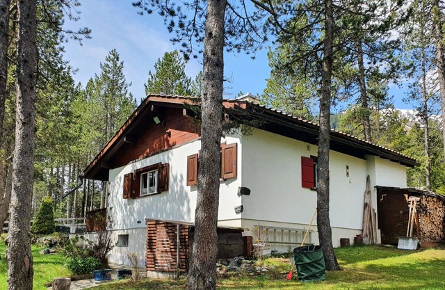 Cozy mountain house surrounded by nature (HAUS MERIAN)