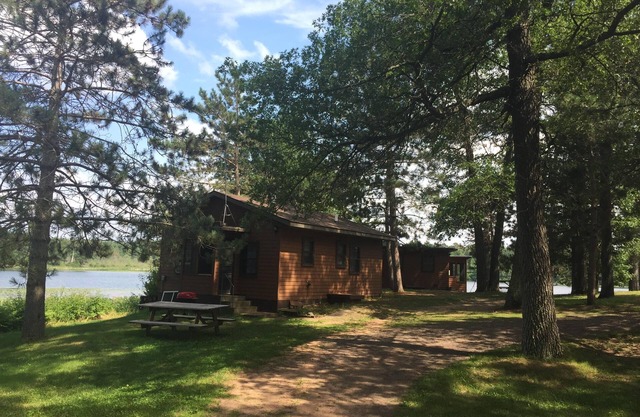 Cozy Pine Cabin on Lake