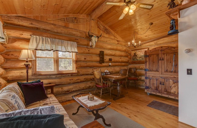 Cozy, Quiet, Authentic Log Cabin w/Mtn View : 4 mi to Downtown