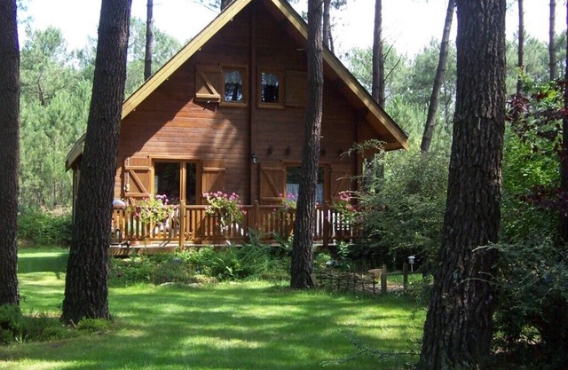 Cozy wooden house in a quiet forest location - pure relaxation in nature